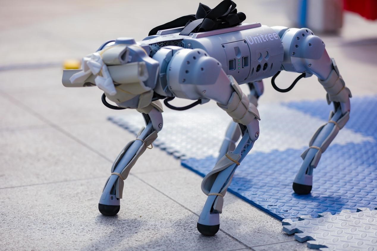 社团文化节暨纳新游园会现场展示的四足仿生机械狗.