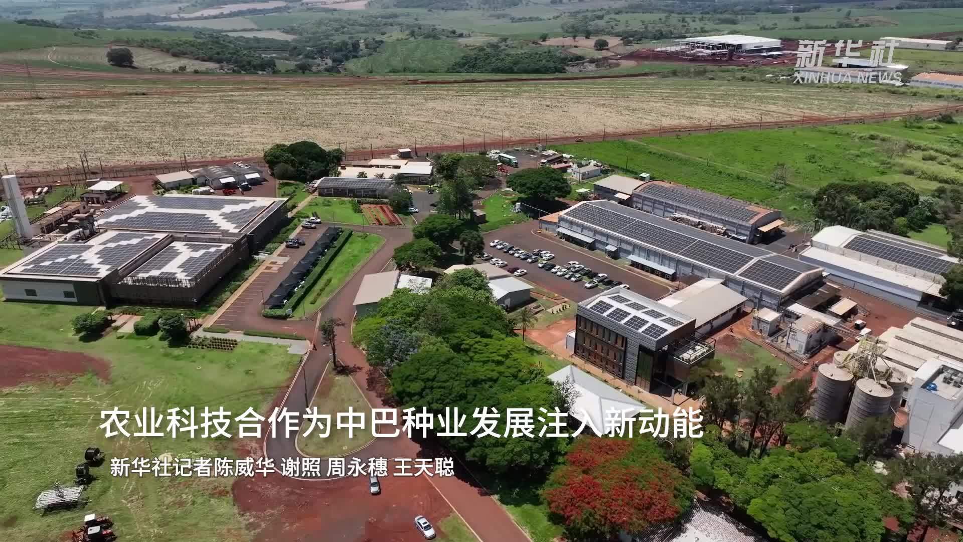 农业科技合作为中巴种业发展注入新动能