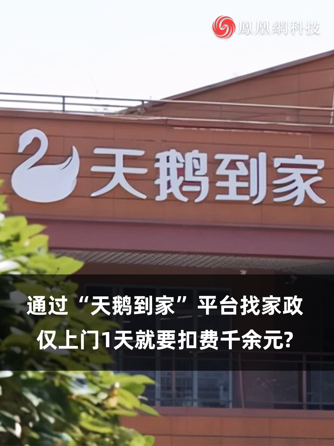 通过天鹅到家平台找家政仅上门1天就要扣费千余元天鹅到家消费家政