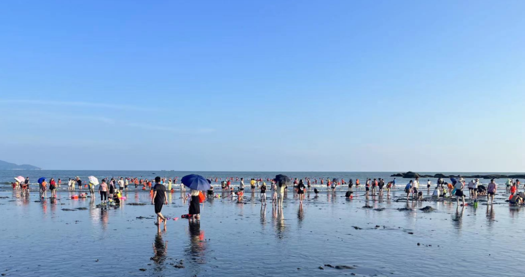 浪琴湾