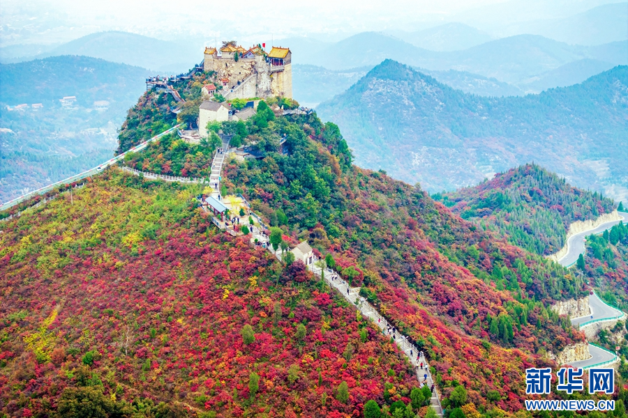 10月17日,河南省林州市原康镇柏尖山,满山红叶吸引了四面八方的游客。