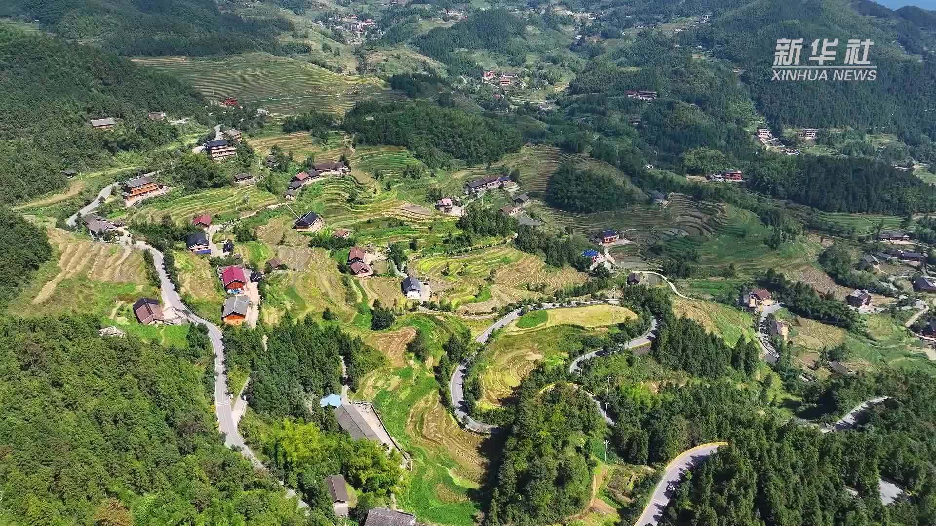 湖南新化：紫鹊界梯田迎秋收