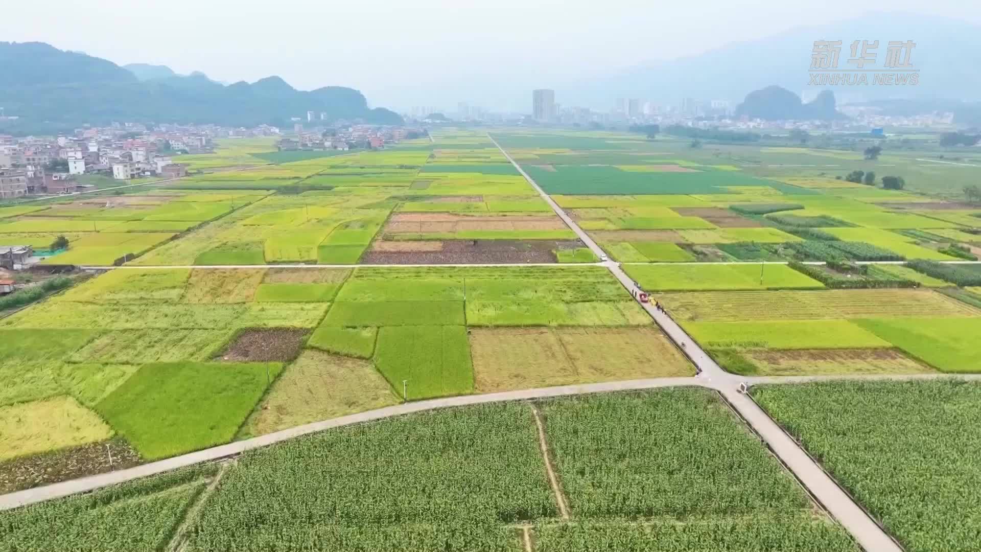 清远连州：农田水利工程“润泽”万亩良田