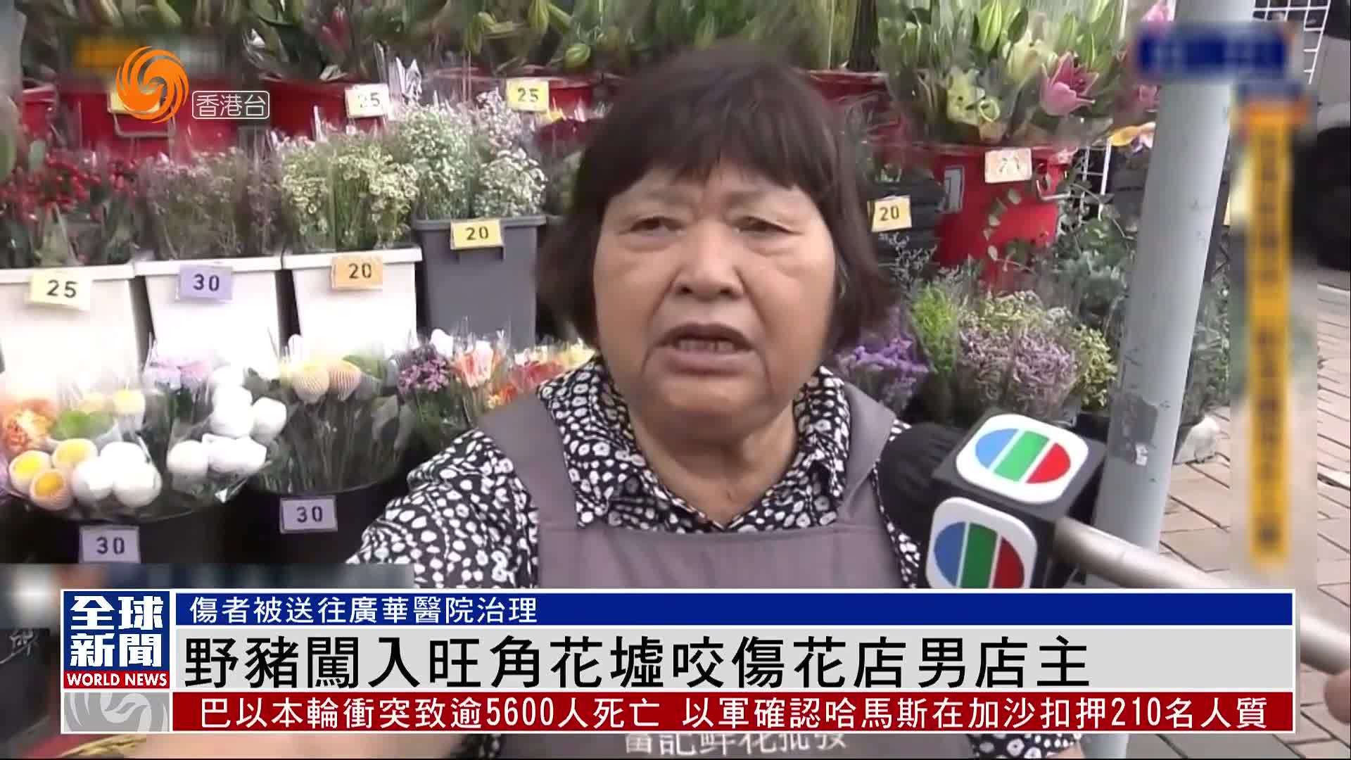 粤语报道｜野猪闯入旺角花墟咬伤花店男店主