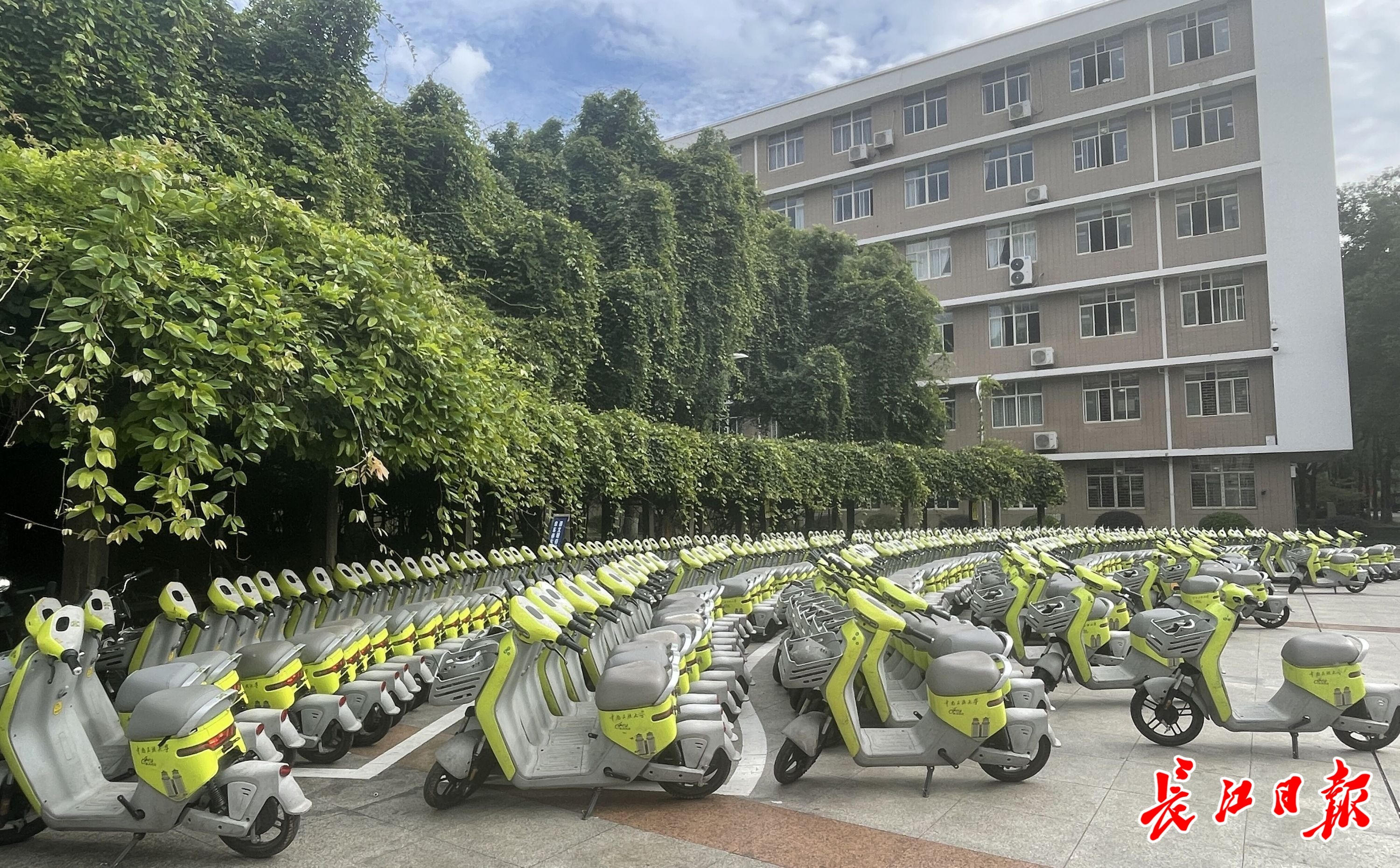 中南民族大学15号教学楼下停放的共享电动自行车。记者张维纳 摄