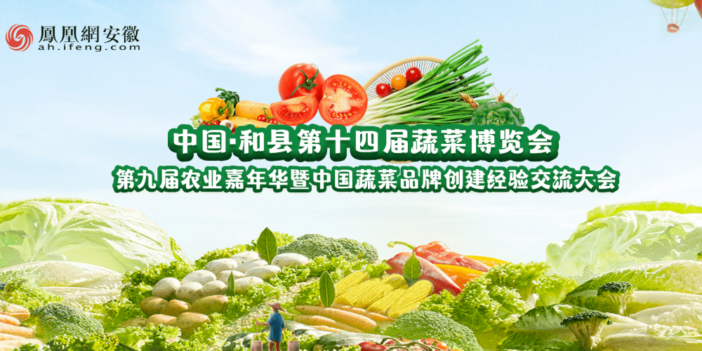 中国和县第14届蔬菜博览会第九届农业嘉年华暨中国蔬菜品牌创建经验交流大会