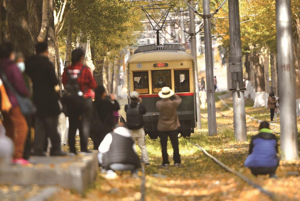 54路有轨电车的网红路段在金秋时节迎来大批市民和游客拍照打卡。 吉林日报记者 韩玉红 摄