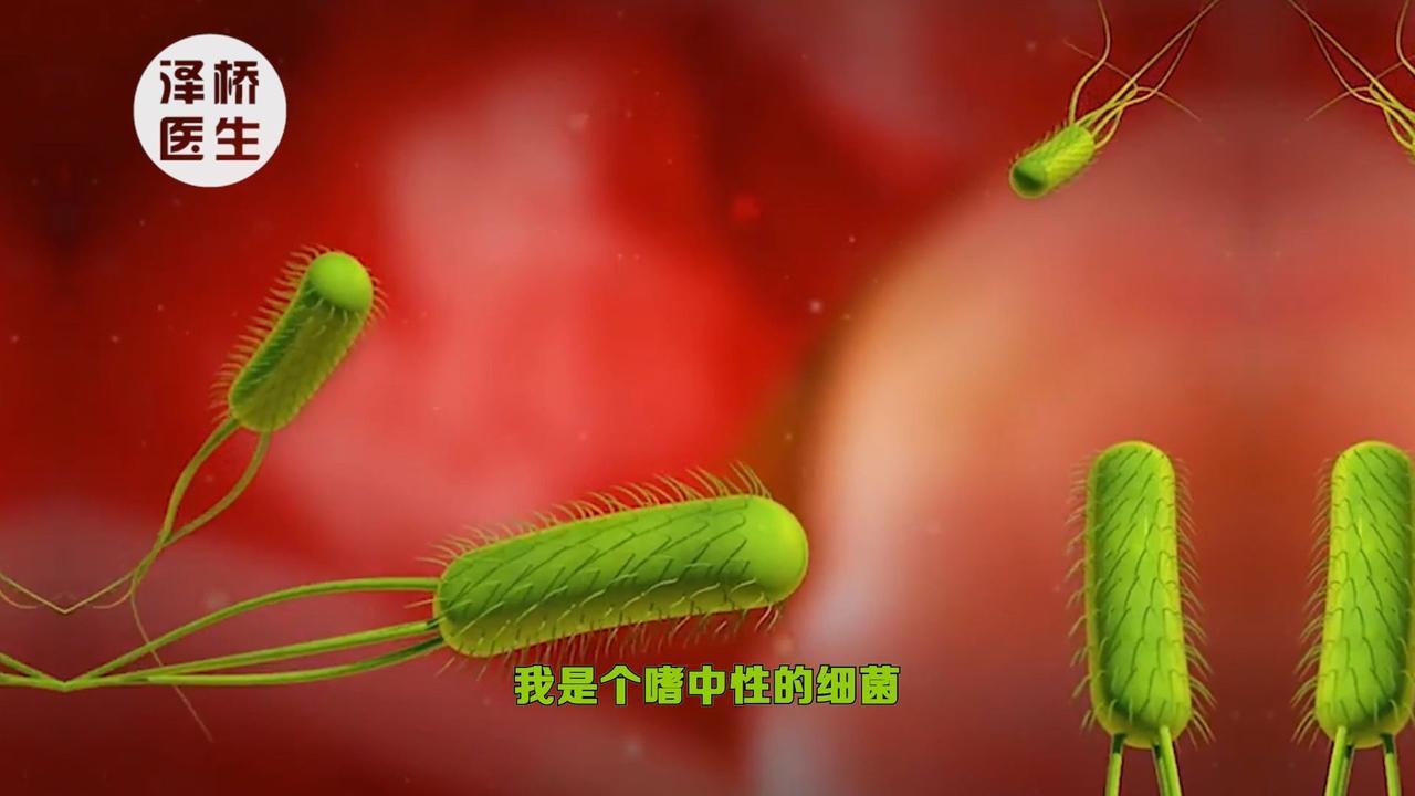 揭秘幽门螺旋杆菌：它如何入侵胃，影响你的健康？