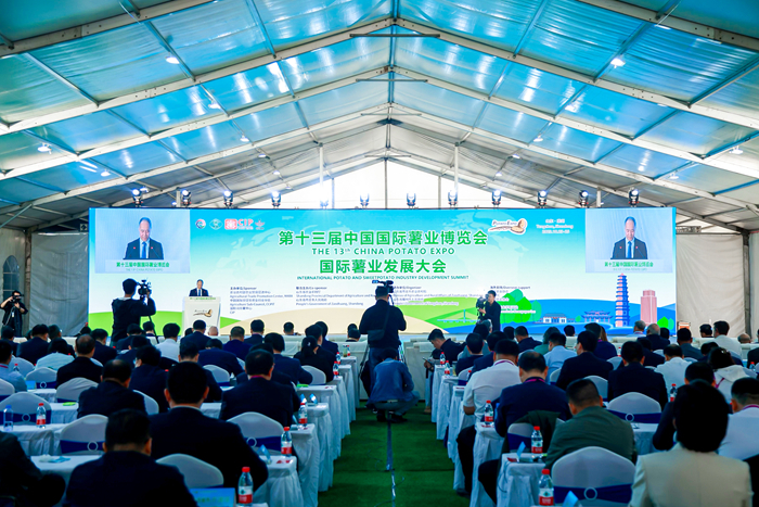 第十三届中国国际薯业博览会 国际薯业发展大会在山东滕州举办凤凰网