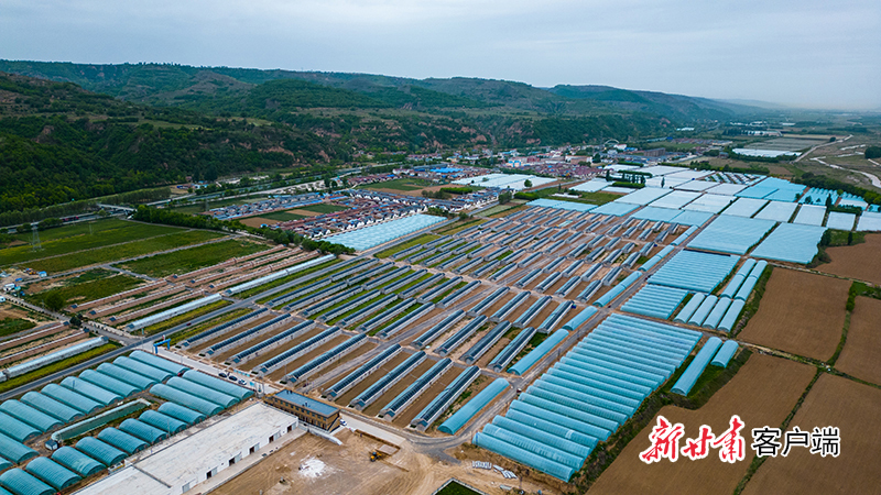 利用东西部协作资金建成的泾汭河川区万亩设施蔬菜产业园区王村核心区