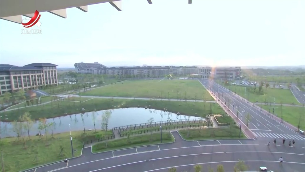 叶建春在赣州调研钨和稀土金属新材料先进制造业集群发展情况