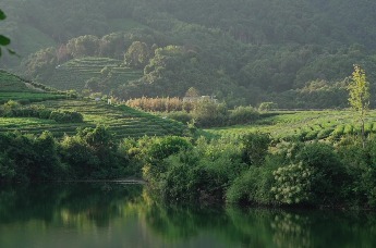 #溪映听庐 对话浙江省油画院画师/中国美院特聘教师 冯昊