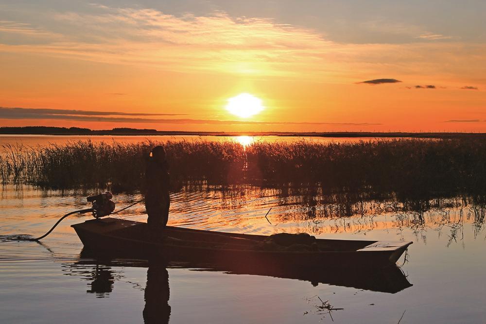 夕阳下牛心套保，使人仿佛置身于昏黄暖意的调色盘之中。 王晓雨 摄
