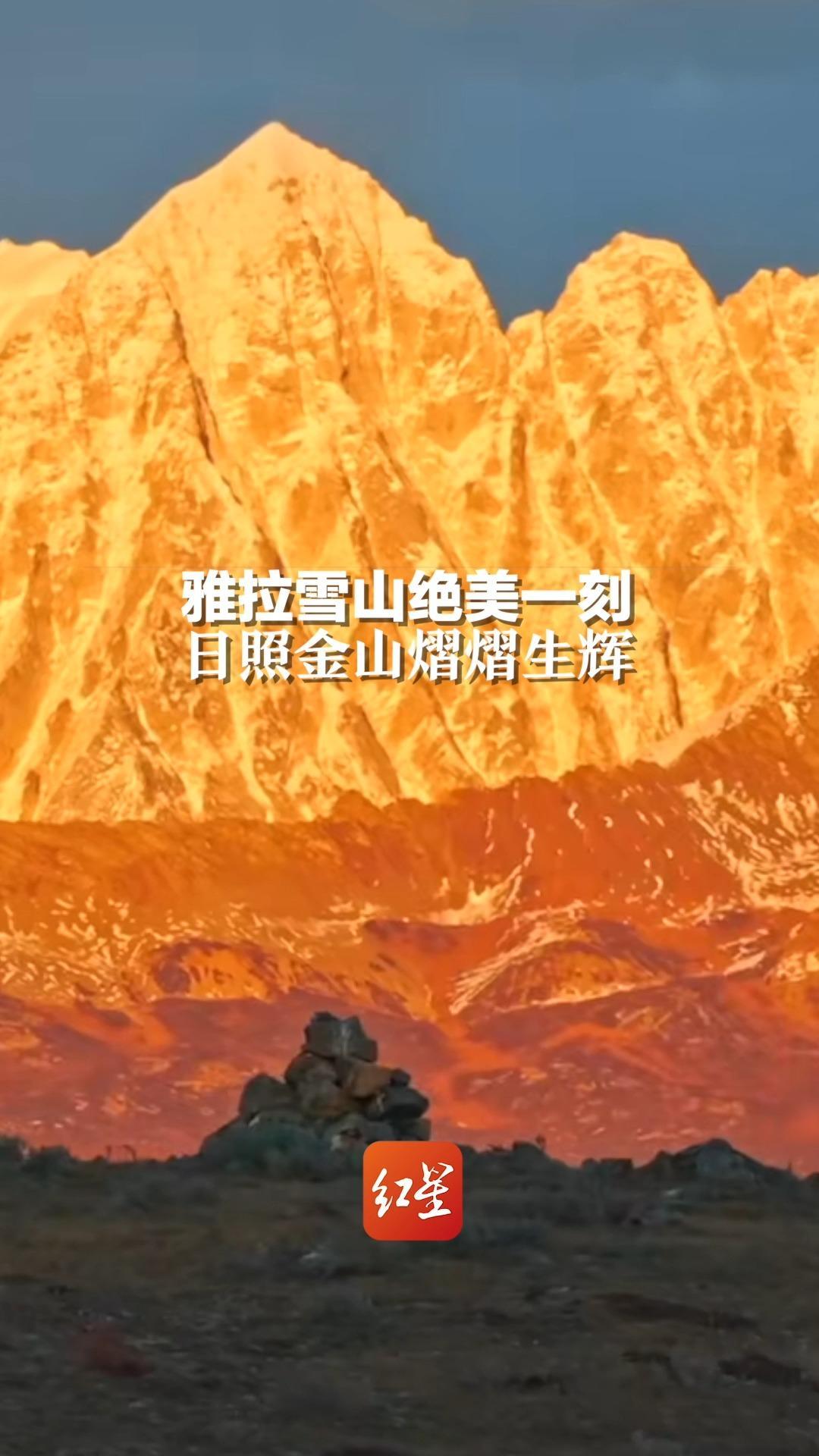 龙在江湖-电影-高清正版在线观看-bilibili-哔哩哔哩