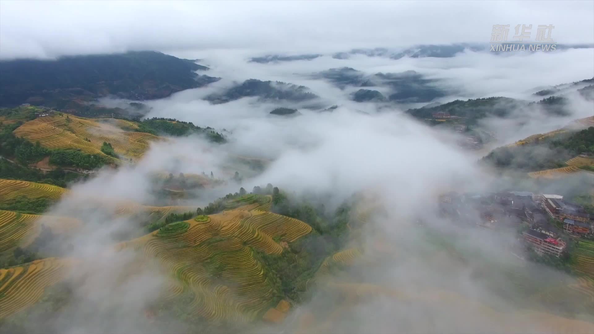 (最佳旅游乡村)走进联合国世界旅游组织“最佳旅游乡村”——大寨村