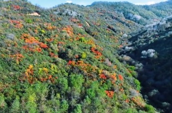 “瞰”灵台秋色　沉浸式感受层林尽染