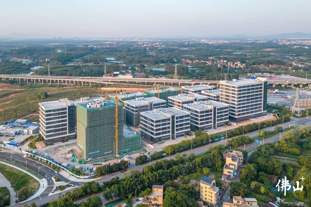 位于三水区云东海街道的广东医谷&middot;云东海生命科学园一期项目，目前已全面封顶。图/佛山市新闻传媒中心记者李国珩摄
