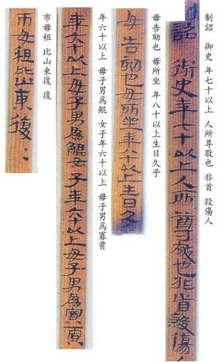 “王杖诏书令册”简（局部）