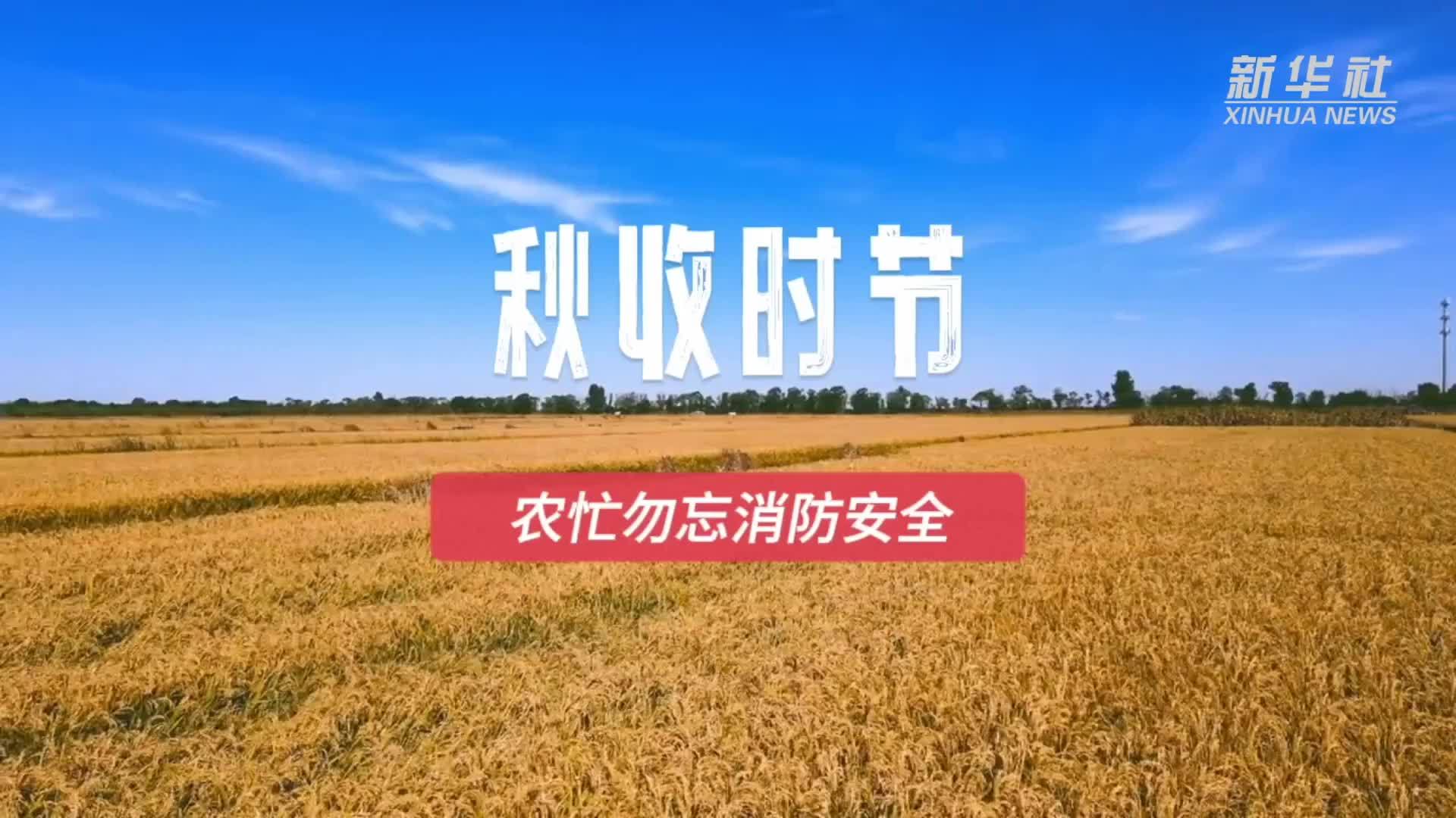 秋收时节 农忙勿忘消防安全