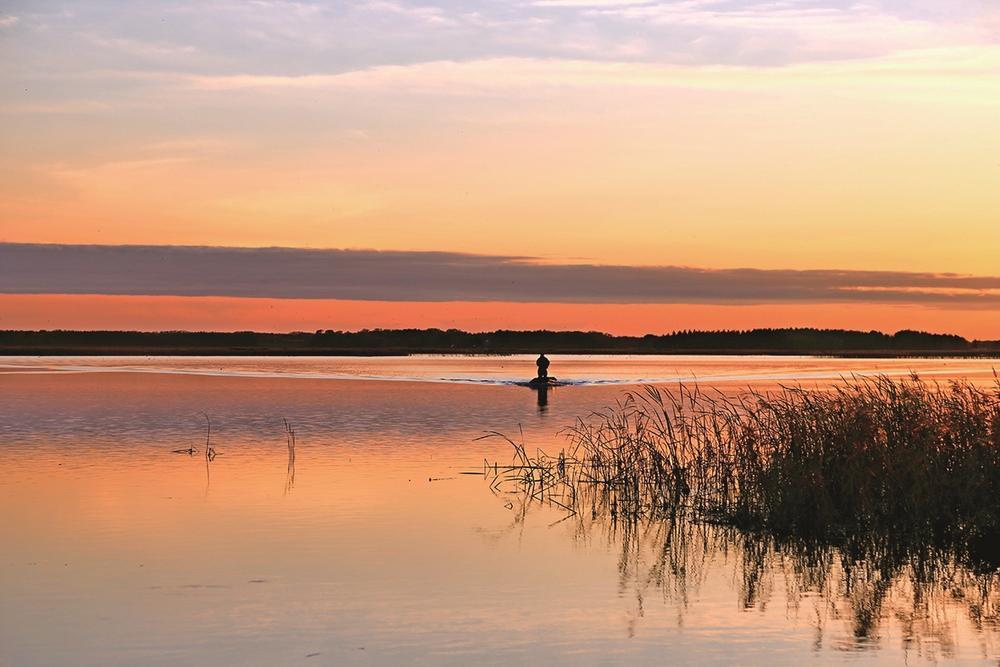 夕阳下牛心套保，使人仿佛置身于昏黄暖意的调色盘之中。 王晓雨 摄