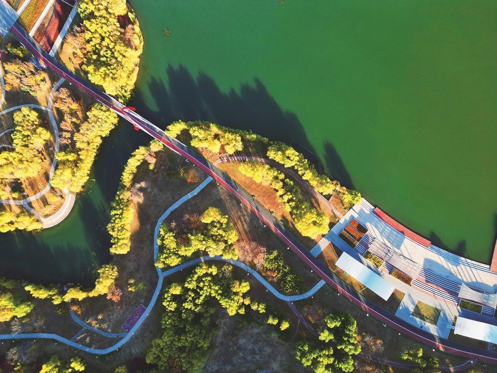 鹤鸣湖景致一角。张磊 摄