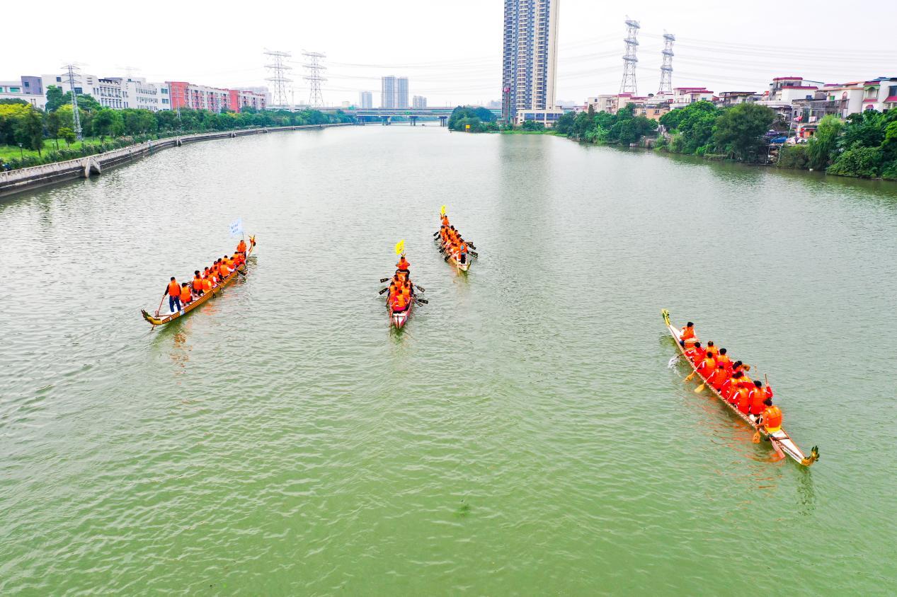 荡桨凫洲河天连段