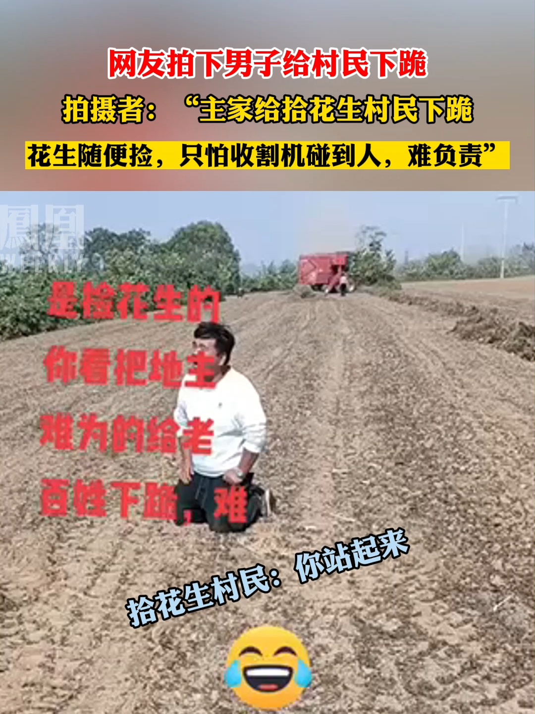 网友拍下男子给村民下跪，拍摄者：“主家给拾花生村民下跪，花生随便捡，只怕收割机碰到人，难负责” 凤凰网视频 凤凰网