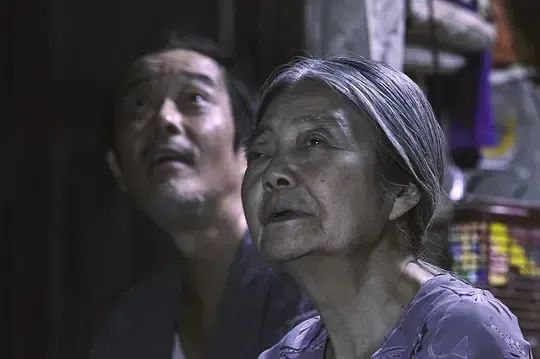 厨房里写作的外婆,在83岁出版了她的第四本书