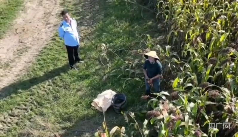 无人机拍摄画面(网络视频截图)