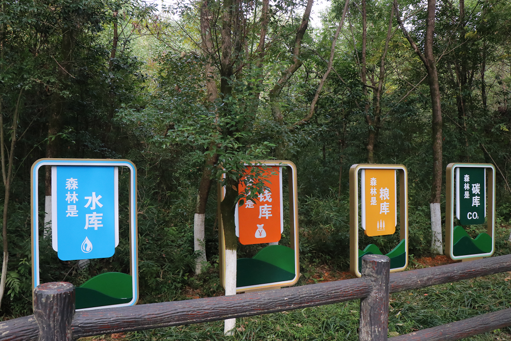 景德镇浮梁县:着力打造天宝林长制主题公园