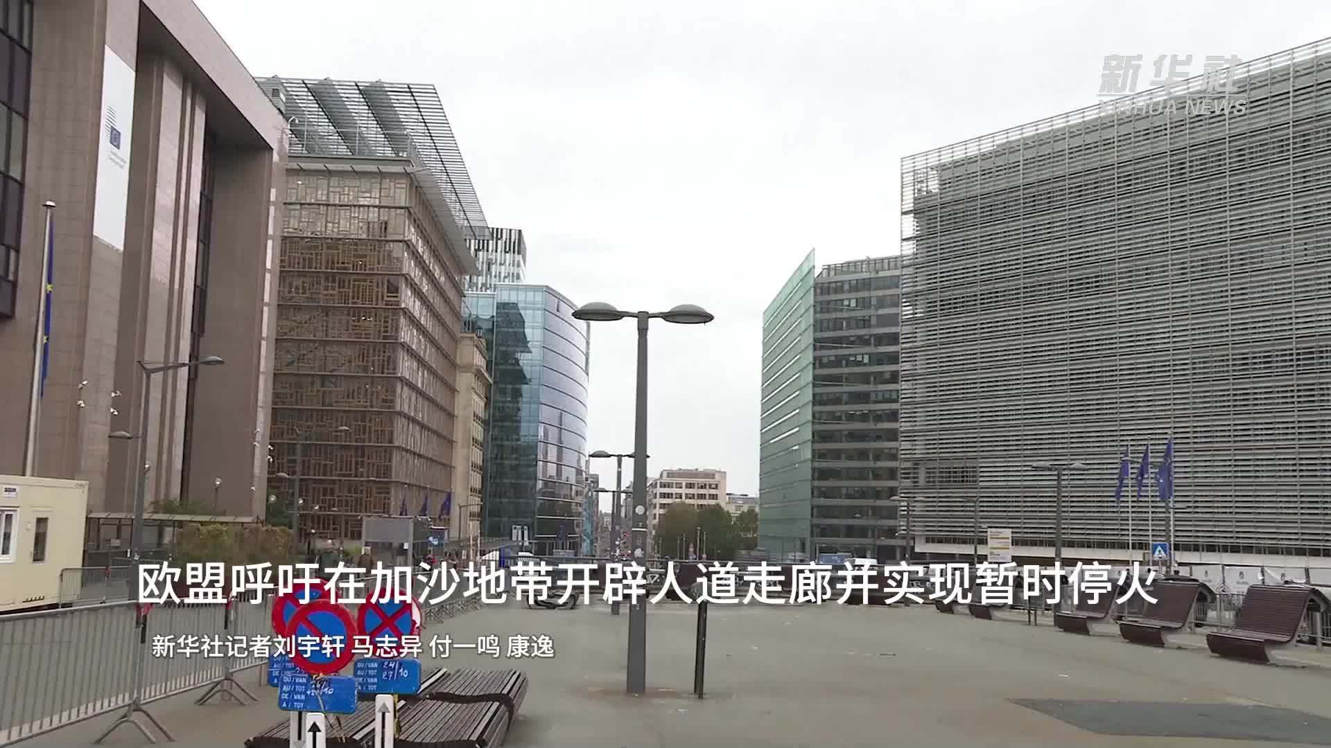 欧盟呼吁在加沙地带开辟人道走廊并实现暂时停火