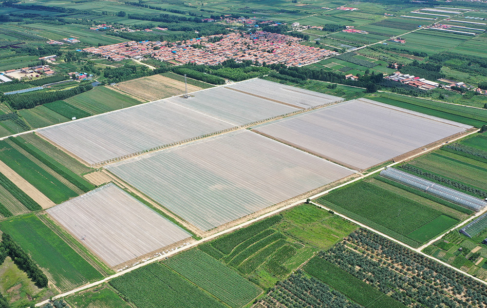 平度：第十四届青岛旧店苹果展示交易会暨第五届文化旅游节开幕