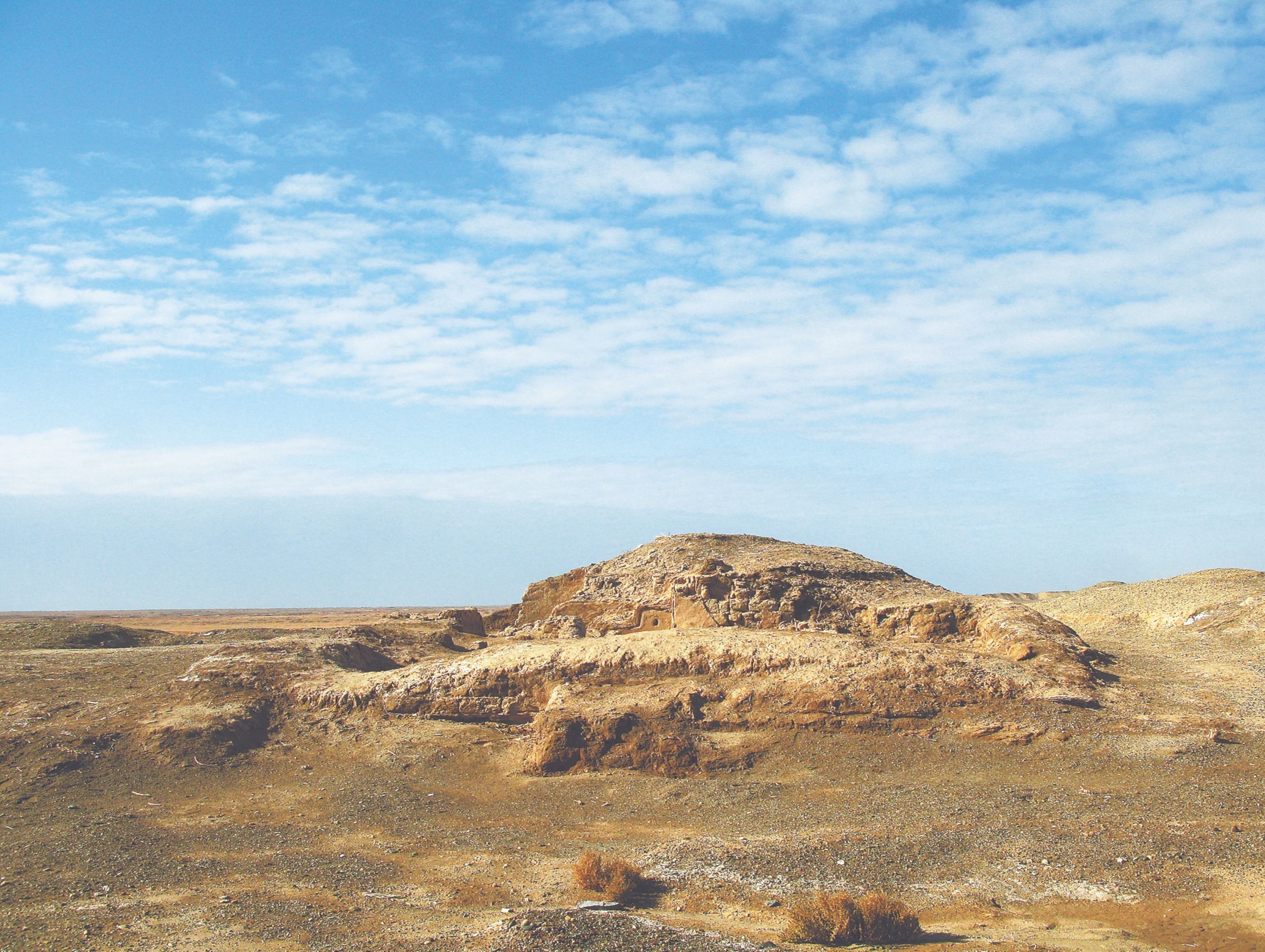 微信图片_20231025094441