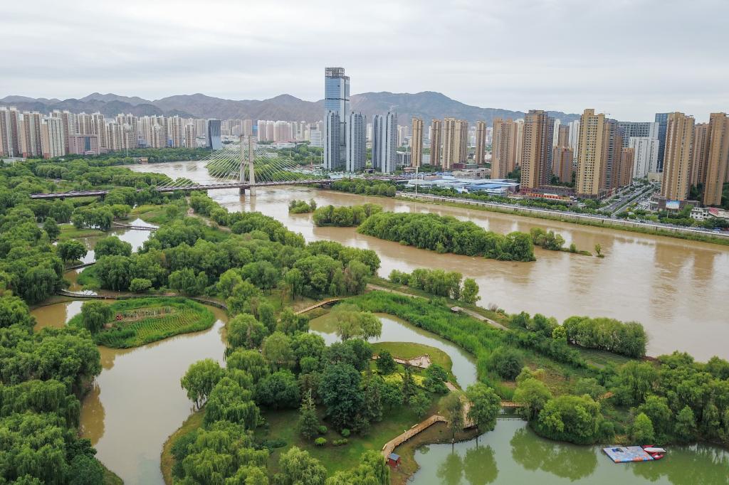 黄河国家湿地公园面积图片