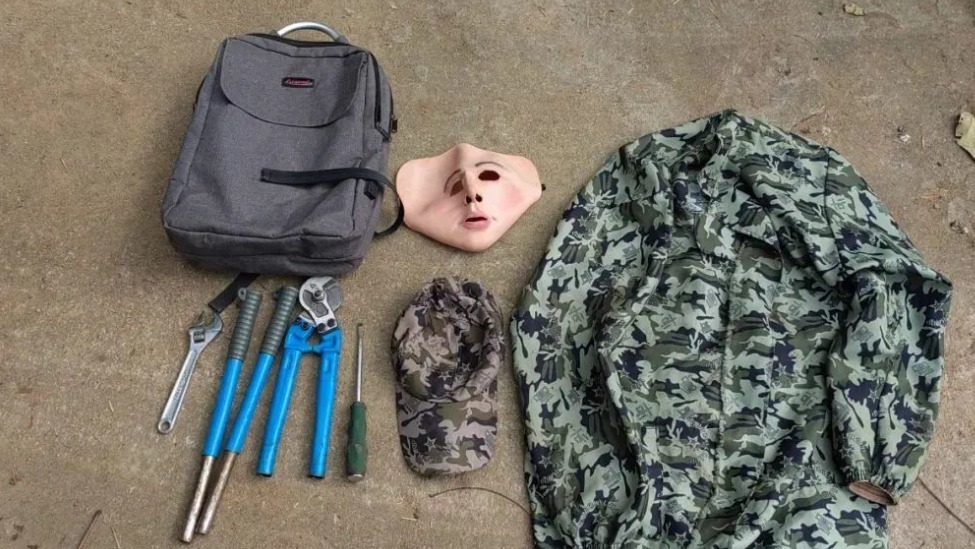 “易容术”现江湖?男子戴“人皮面具”盗窃_凤凰网
