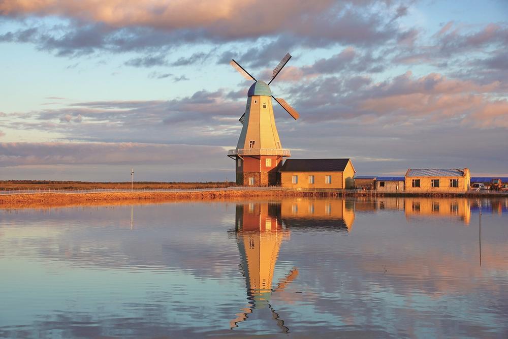 夕阳下牛心套保，使人仿佛置身于昏黄暖意的调色盘之中。 王晓雨 摄