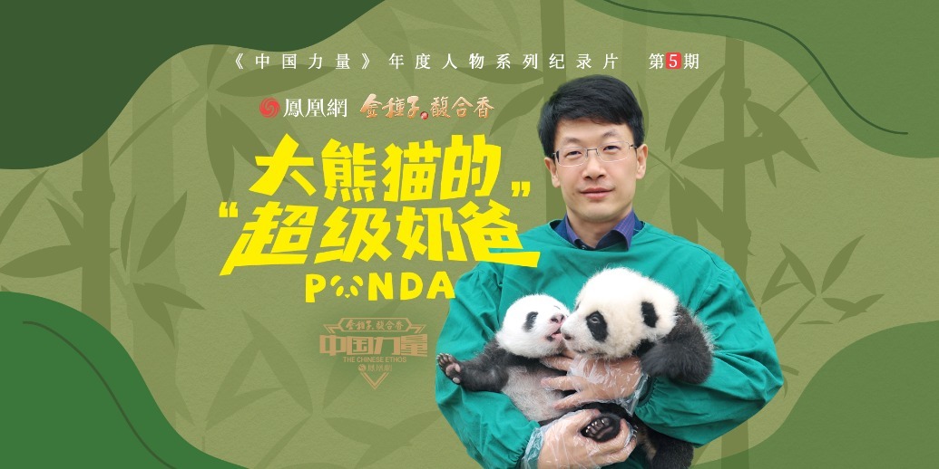 中国力量第5期｜大熊猫的“超级奶爸”：如何用科学技术实现熊猫的繁育复壮