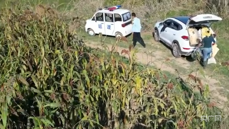 相关人员发现无人机后离开(网络视频截图)