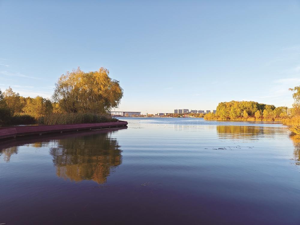 静谧湖水，倒影成诗。 张磊 摄