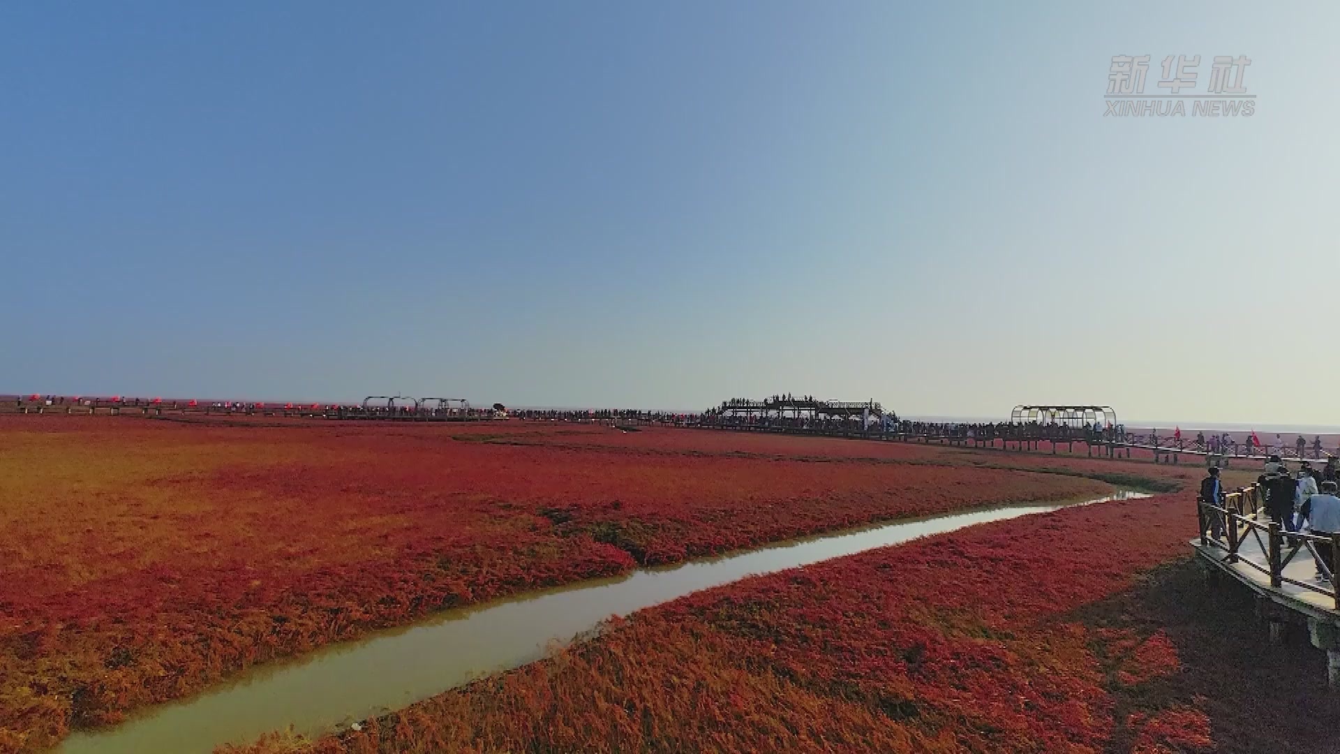11月1日起盘锦红海滩国家风景廊道景区将继续免费开放