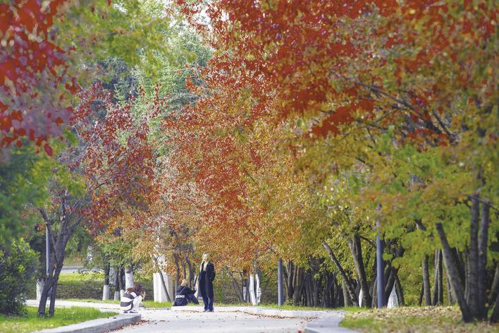 长春世界雕塑园金秋。