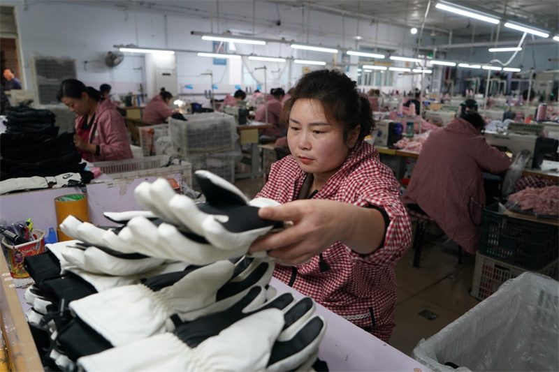 10月25日，辛集市辛集镇安古城村一家手套生产企业的工人在制作手套。新华社记者 牟宇 摄