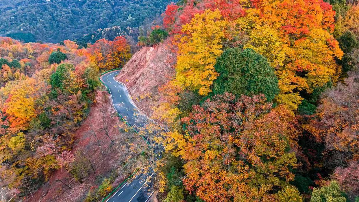 四川米仓山景区回应数千人滞留:平台私自售票,游客转运完毕_凤凰网