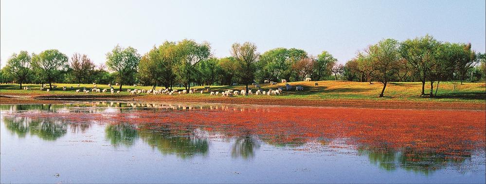 和谐自然。陈敬德 摄