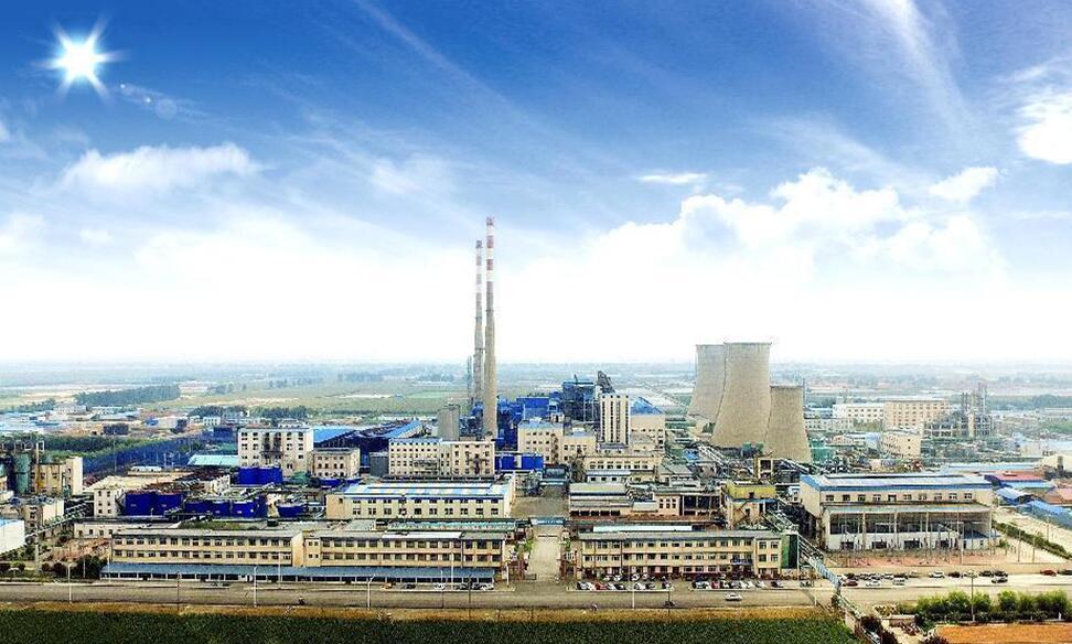 山东新龙科技股份有限公司