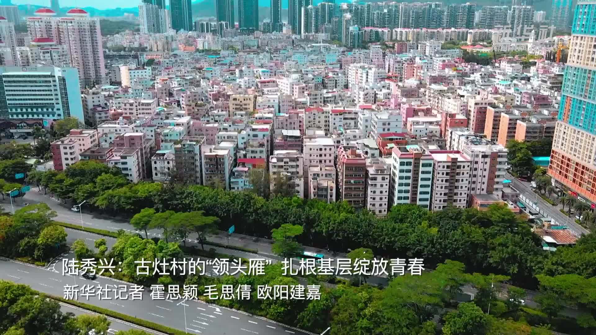 陆秀兴：古灶村的“领头雁”扎根基层绽放青春