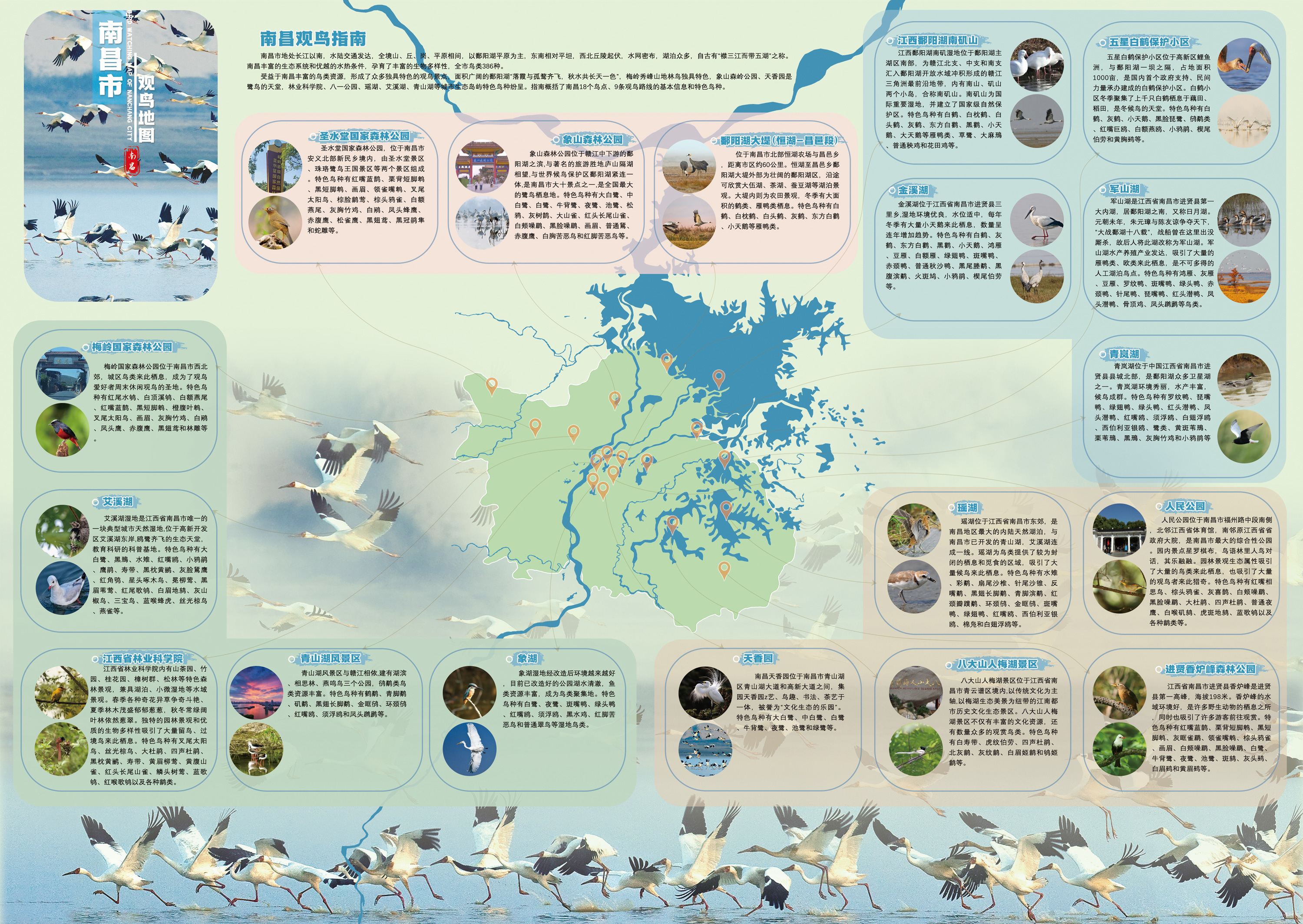 鄱阳湖国际观鸟季南昌观鸟攻略 8条线路请查收