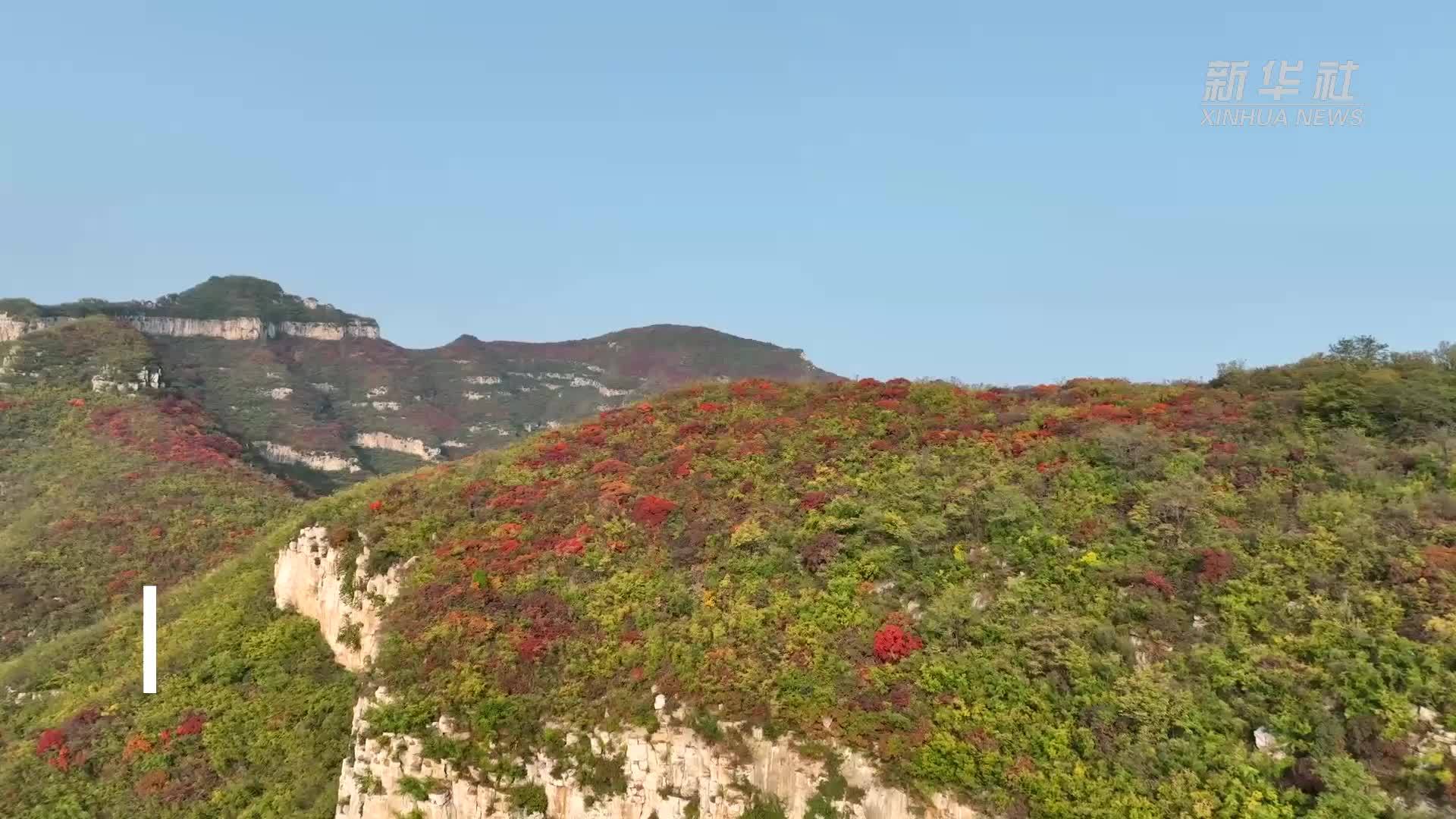 千城胜景｜石家庄井陉矿区：红叶浸染 山色如画
