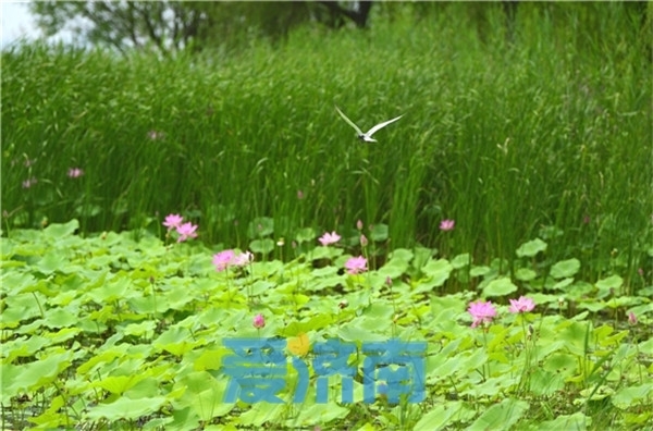 05FEA5D147D0D052B8FEEA5DB3C9BB21999F9ABA_size191_w600_h396.jpg