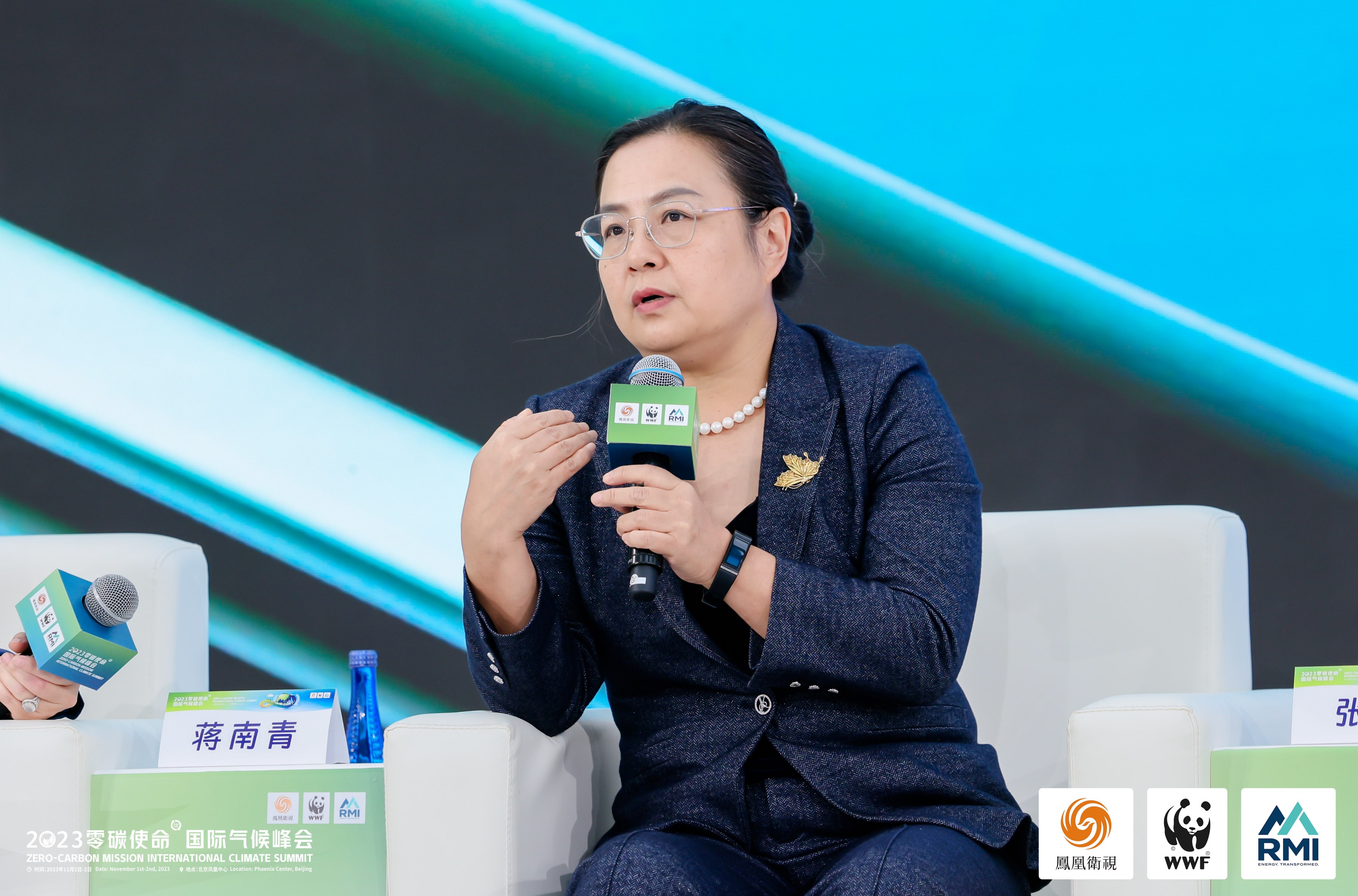 青合循环经济与碳中和研究院院长蒋南青